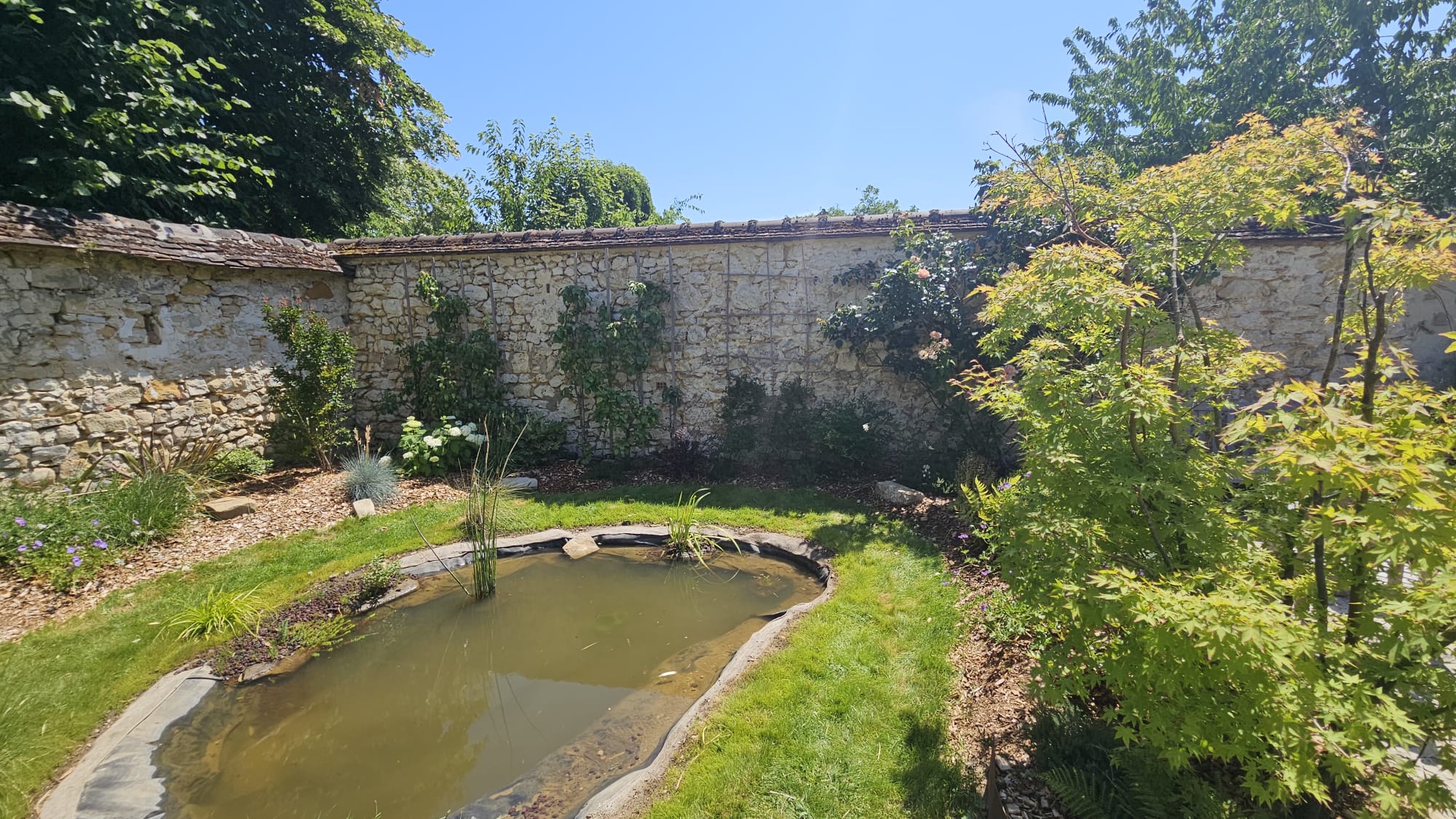 Jardin méditerranéen