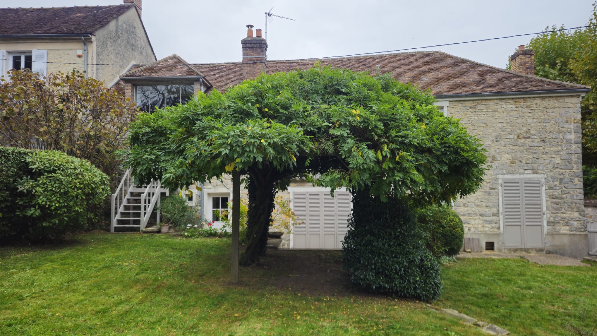 Fleurs blanches dans un jardin